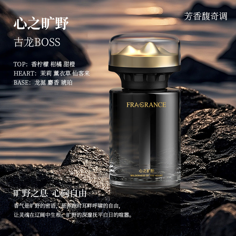Premium Flameless Car Aromatherapy Essential Oil